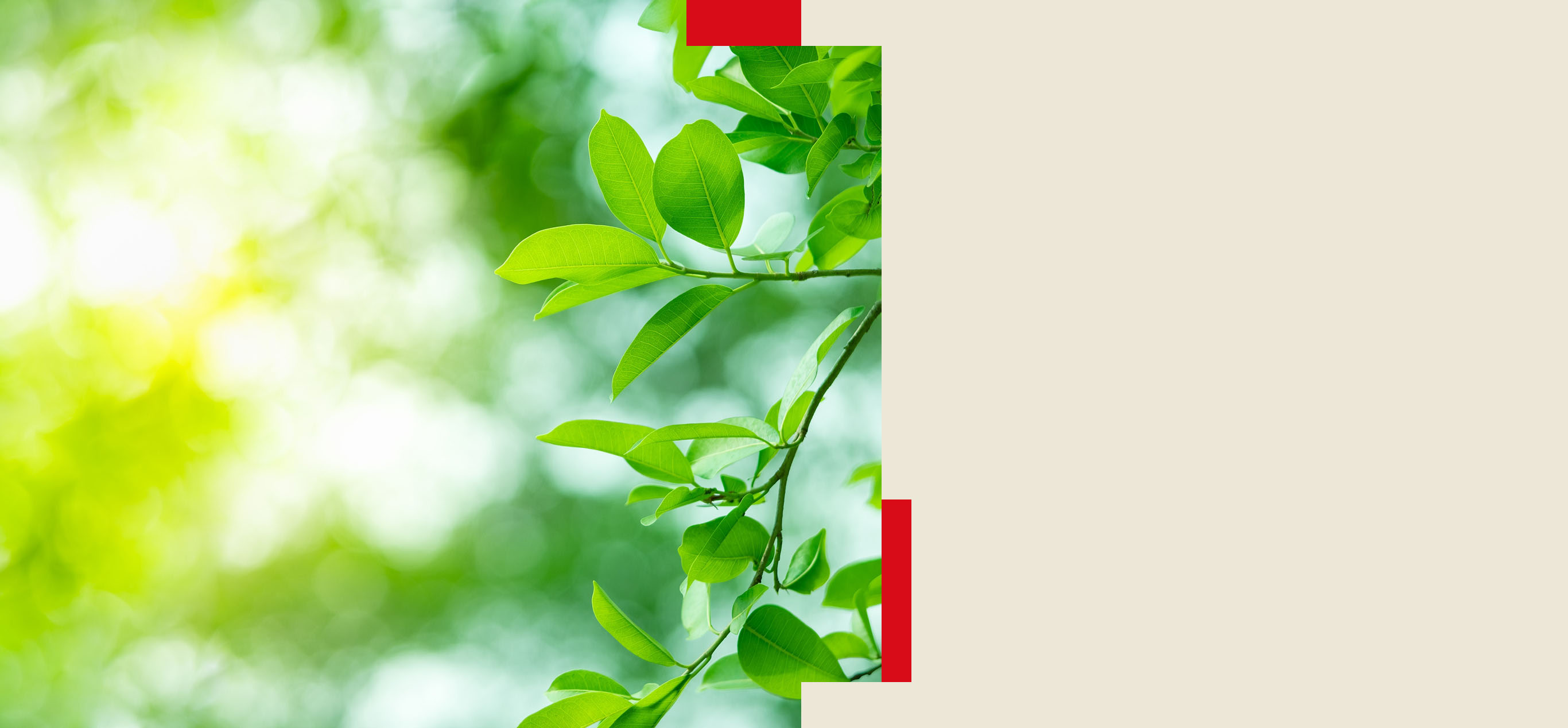 サステナビリティイメージ